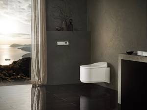 «Sensia Arena», das innovative Dusch-WC von Grohe, ist mit vierzehn Design Awards ausgezeichnet worden. Mit seiner schlanken Form und den sanften Konturen fügt es sich perfekt ins Badambiente ein. Grohe.